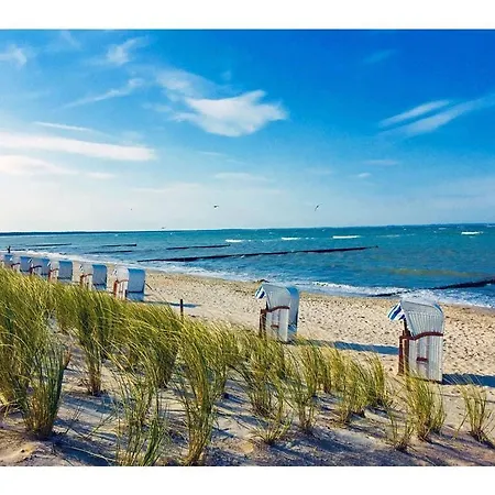 Ferienhaus House Starfish